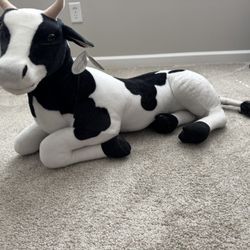 Cow 
