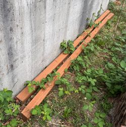 4 X 4 X 12 pressure treated lumber