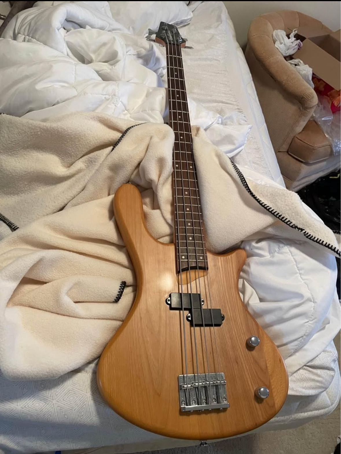 Bass guitar