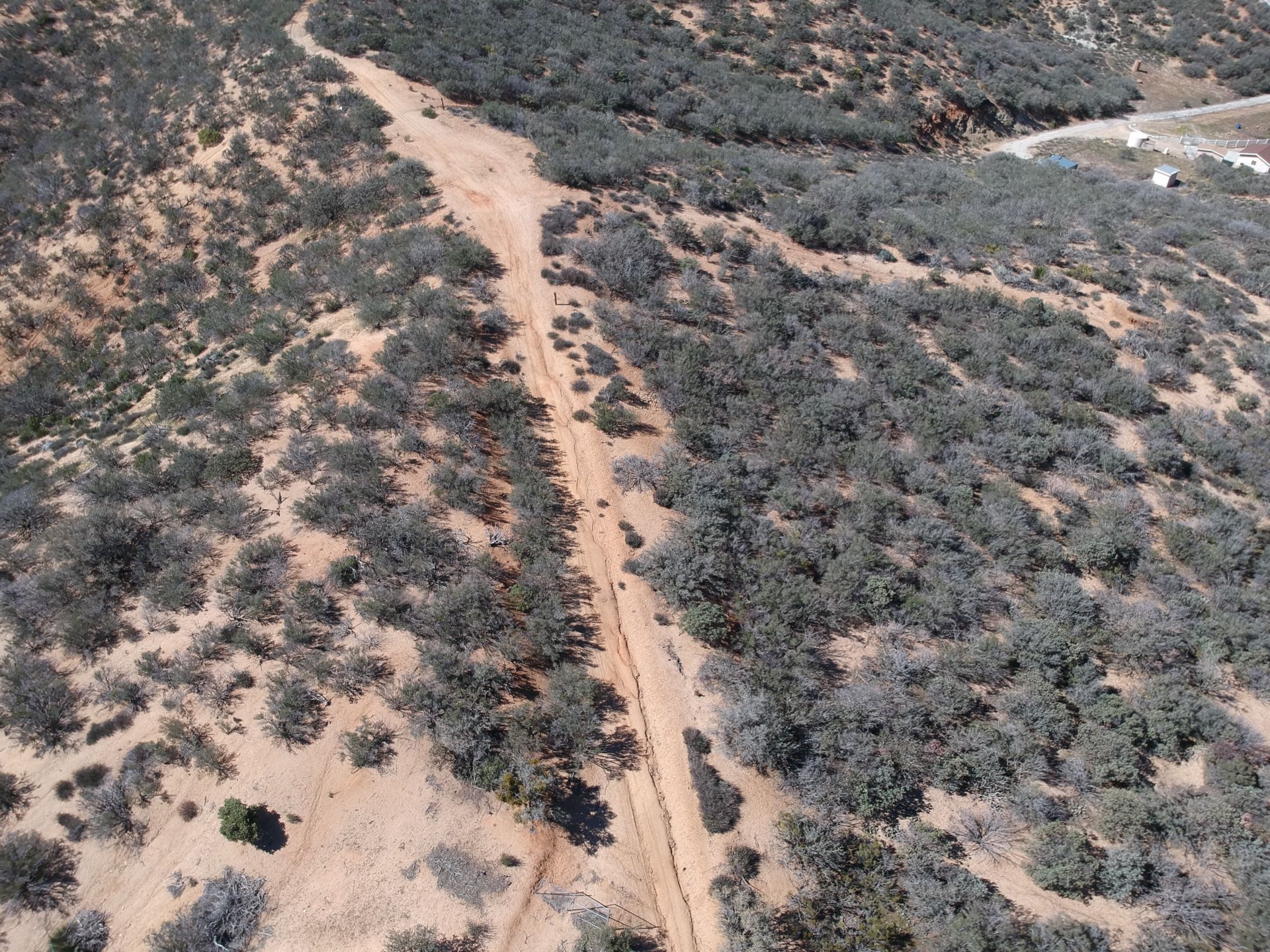 Acton ,ca horse land for sale !!!!