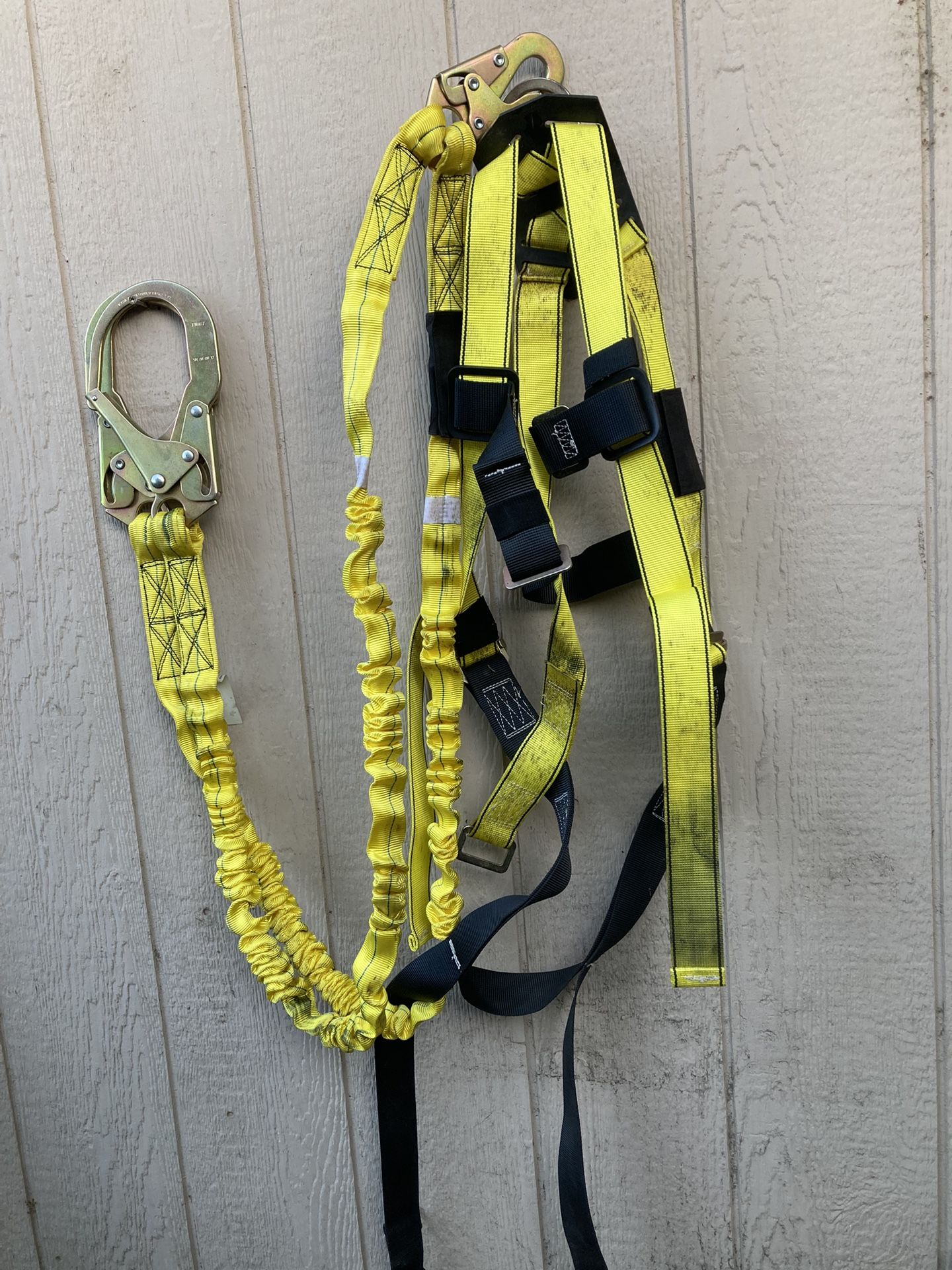 Harness