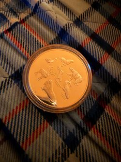 .8 ounce of pure silver