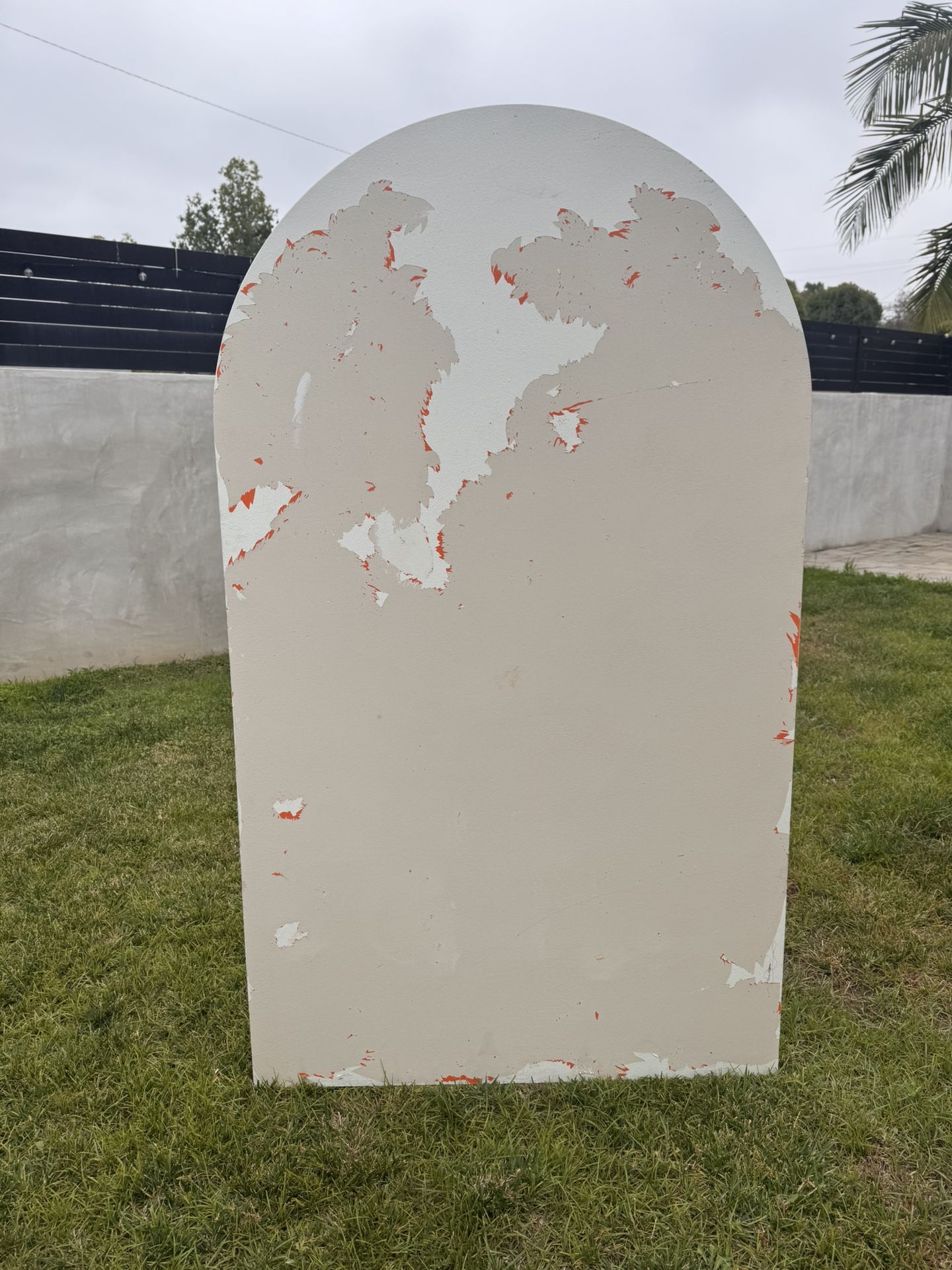 Backdrop For Sell 