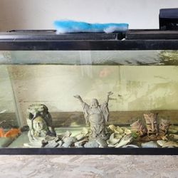 75 Gallon Fish Tank With Metal Table