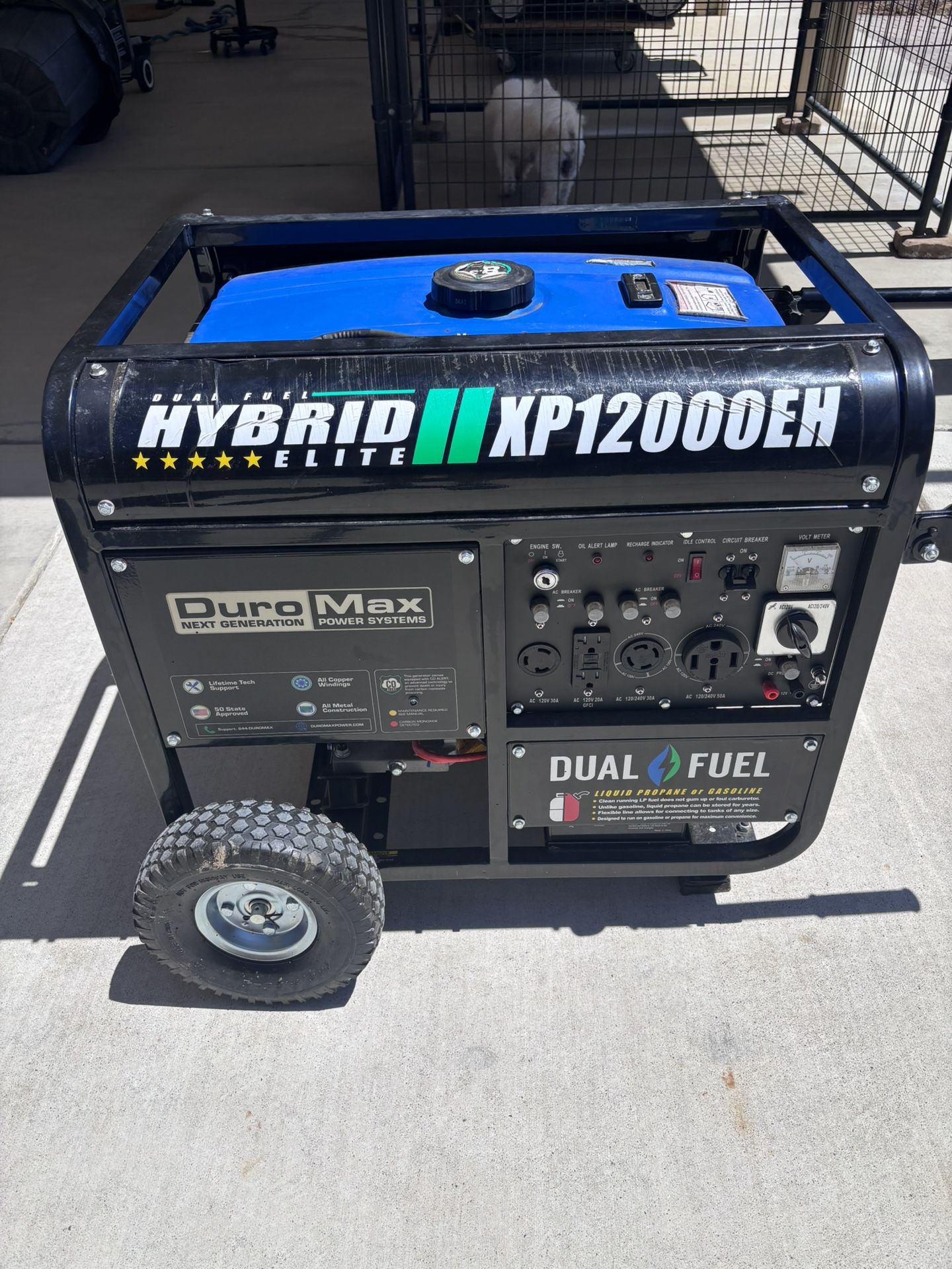 Duro Max Generator ( GAS/PROPANE)