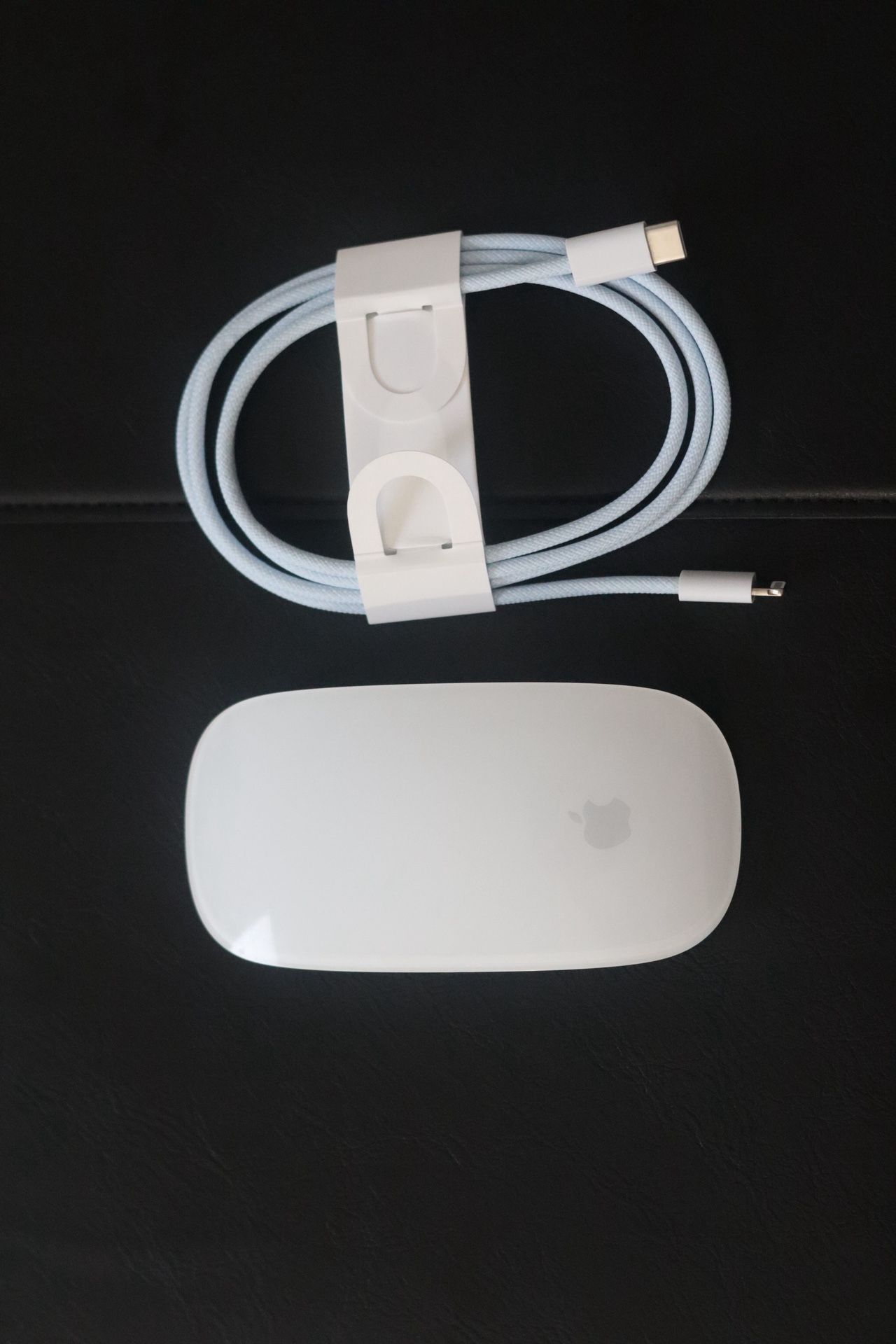 Apple Magic Mouse