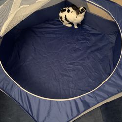 Small Animals Playpen