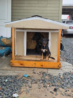 Mini houses for 🐶 DOGS