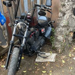 2018 Harley 1200 Iron Sportster