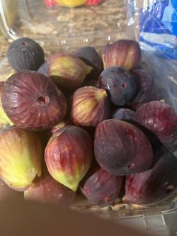 Igos en Rialto California