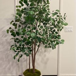 Tree/ plant Decor