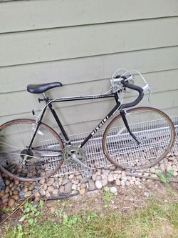 Nishiki rally  bike