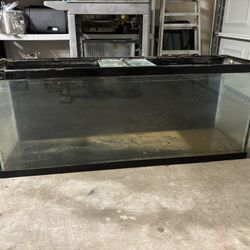 Fish tanks 55 20 10