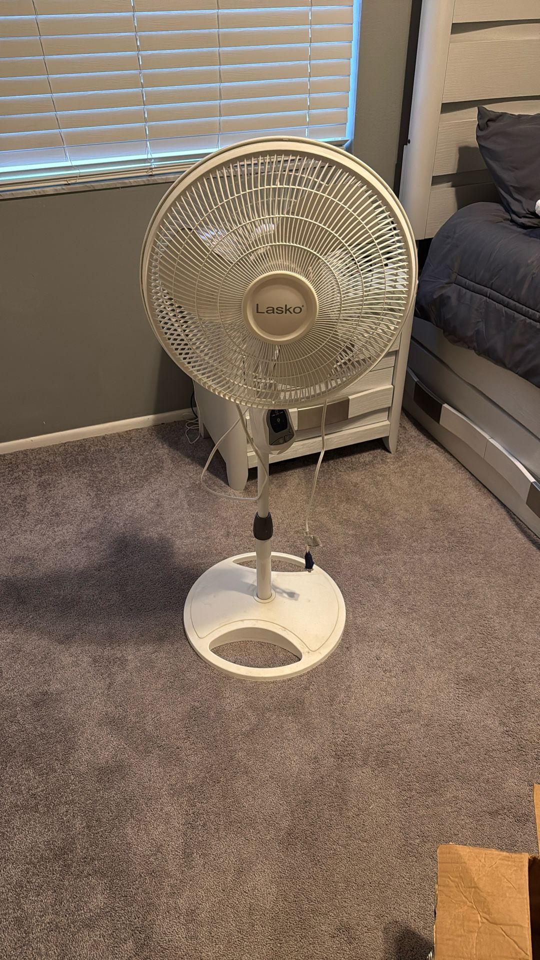 Fan 