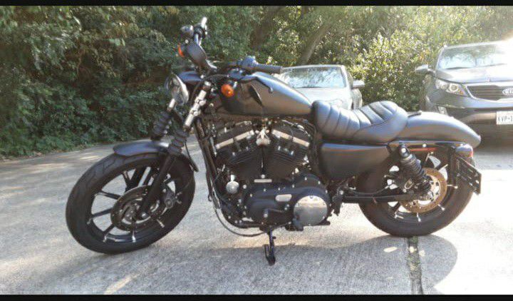 2019 Harley Davidson 883 iron