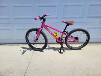 20" Cleary Owl Bike