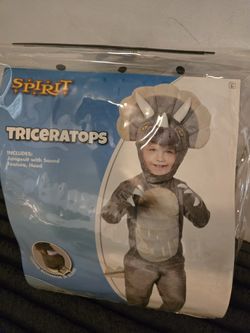 3 To 4 T Triceratops Halloween Costume