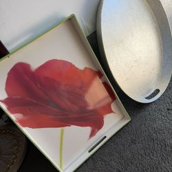 2 Large Resin Tray , $20