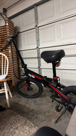 Electric bike for adults