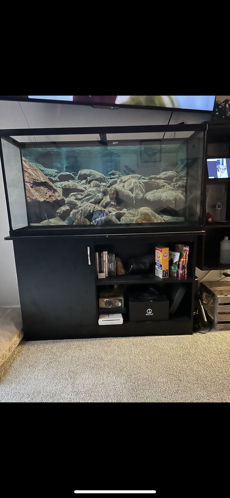 60 Gallon Fish Tank