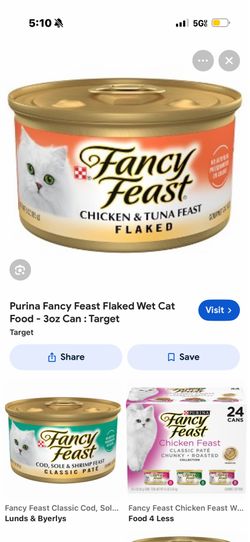 FREE KITTY food