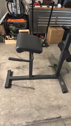 Preacher Curl Bench