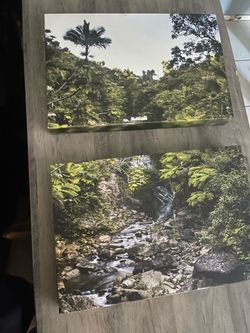 Set of 2 Tropical Nature Wall Art