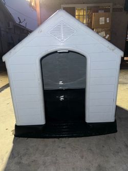 Dog House