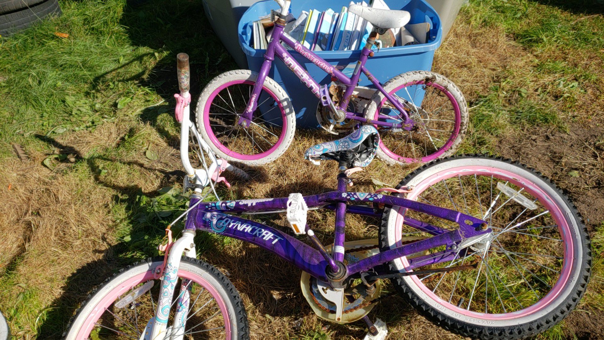 Small kid and big girl bikes