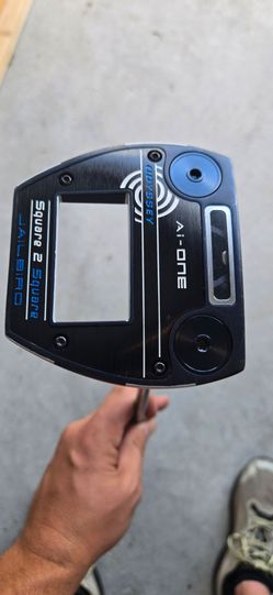 Jailbird AI Putter