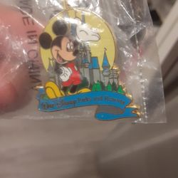 Disney Collection Pin
