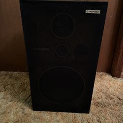 Pioneer Vintage speaker 