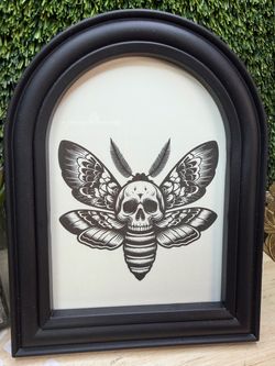 Death moth picture brand new