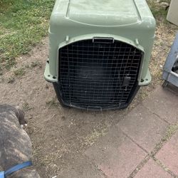Very Large Hard Dog Kennel