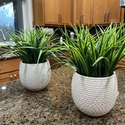 Artificial Plants Set Of 2 