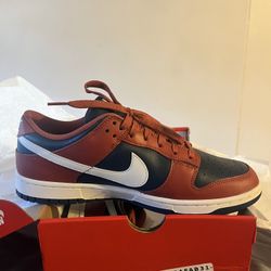 Nike Dunk Low