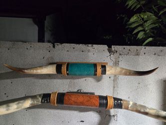 Texas longhorn mounts