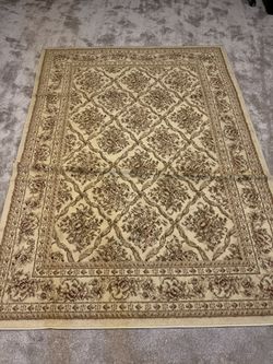 Rug In Great Condition