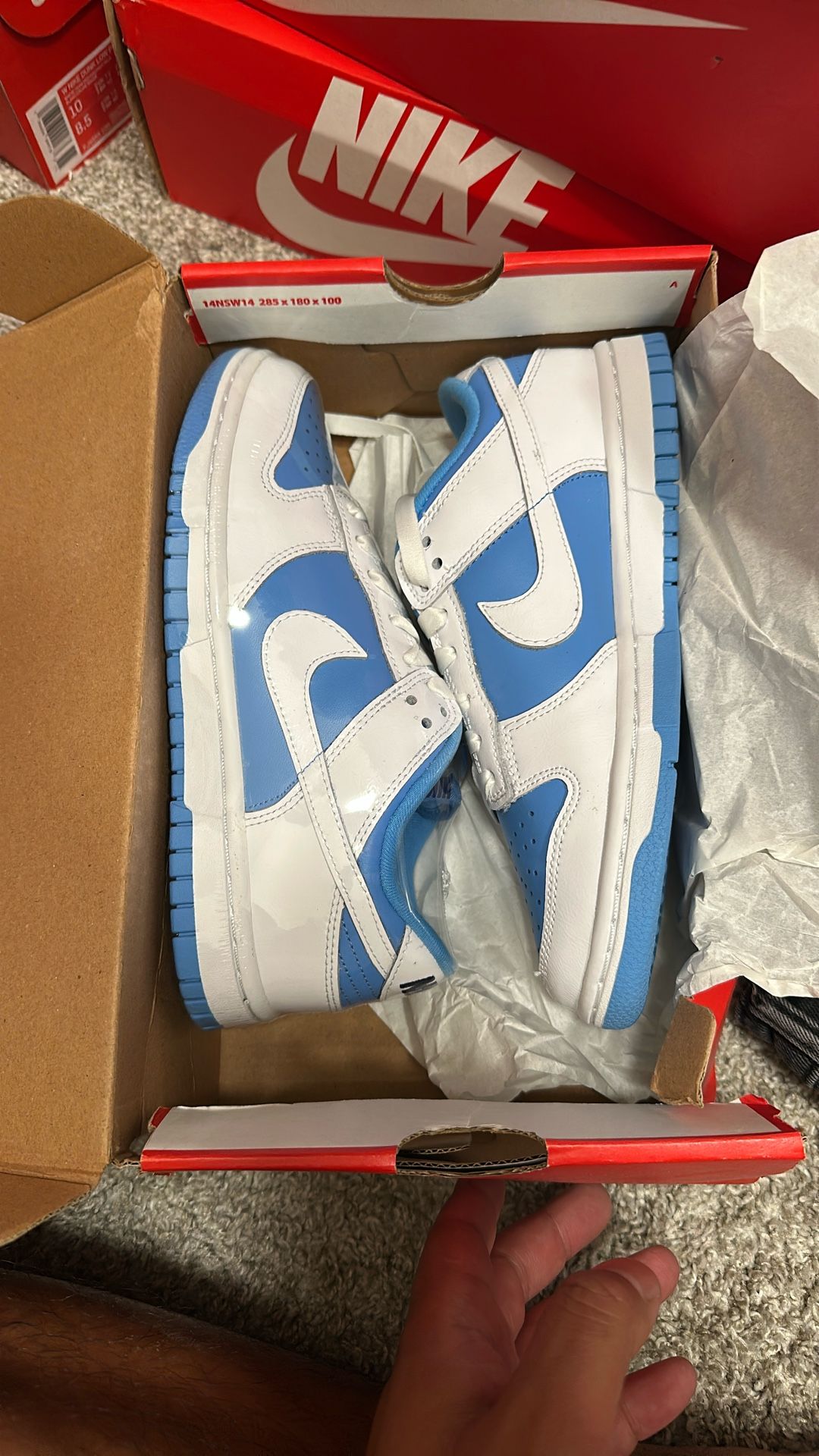Nike Dunk 6W