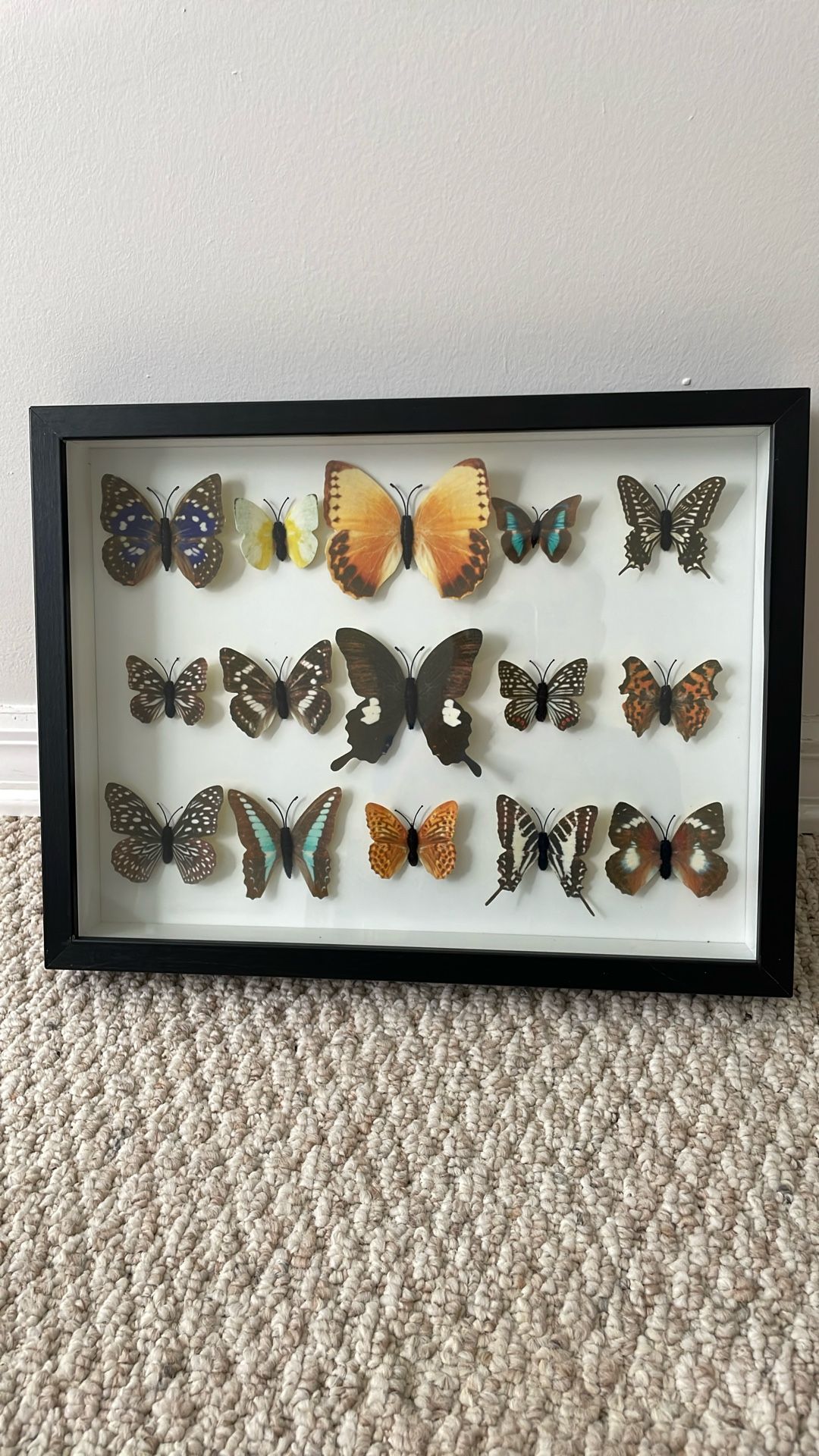 Wall Decor