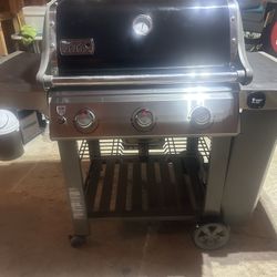 Weber Genesis E310 Lp
