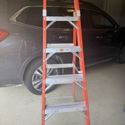 6ft Ladder 