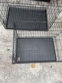 Dog Crates