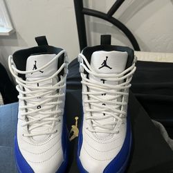 Air Jordan 12 Retro 