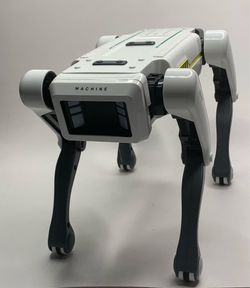 Smart Robot Dog - Interactive STEM Pet, Voice Control, 30+ Actions & APP Program