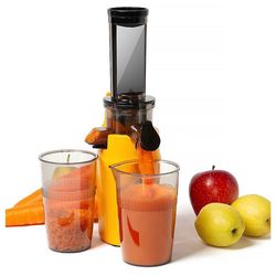 Ventray small juicer
