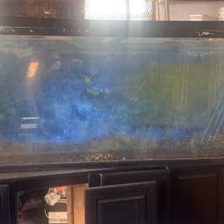 150 gallon 6 foot long which stand