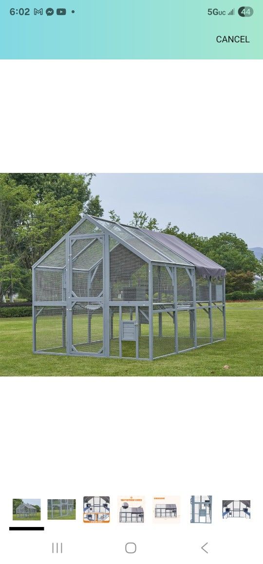 Cat House