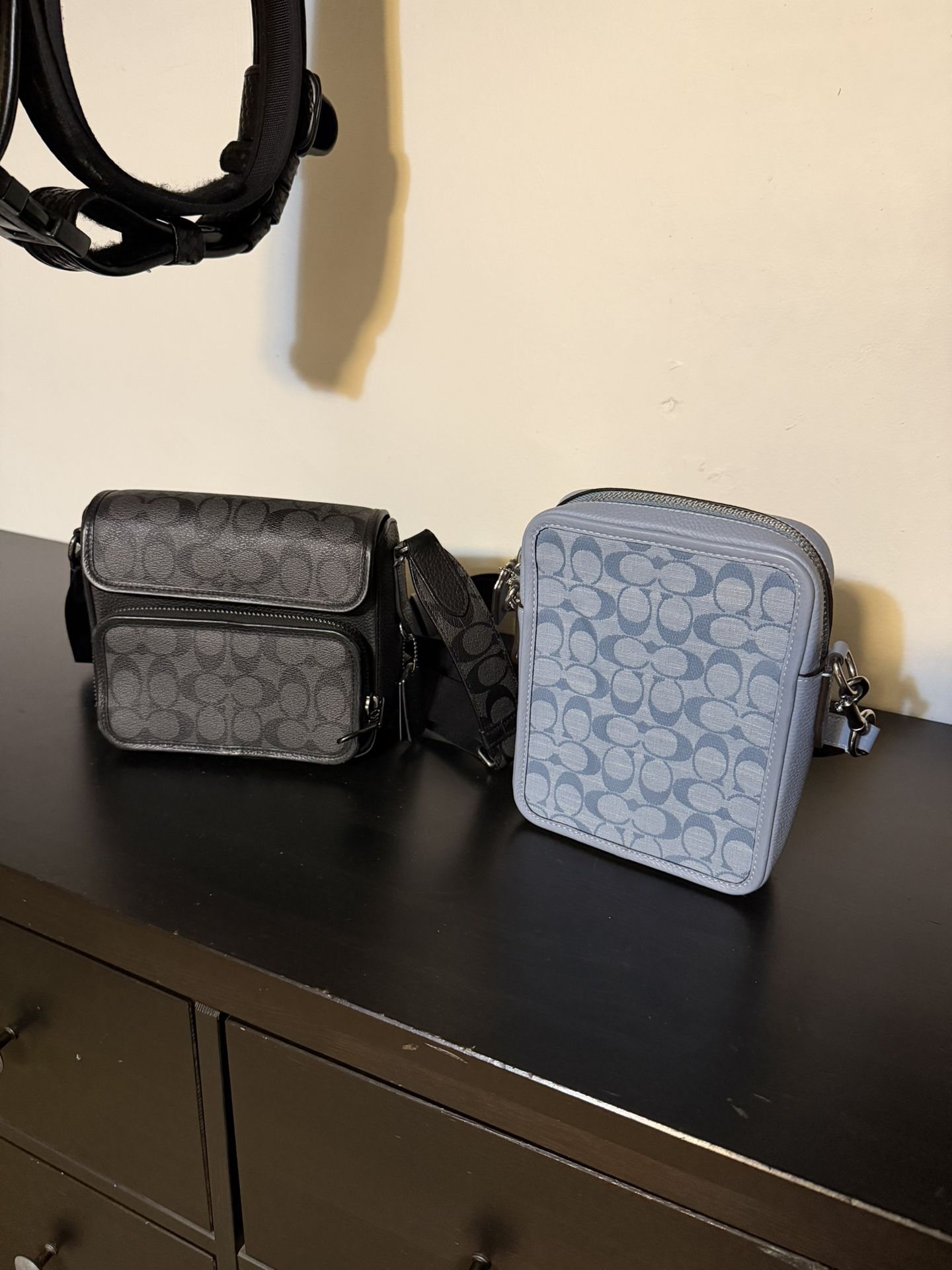 Coach Side Bags