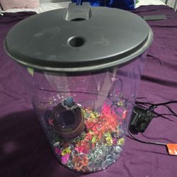 Small Fish Tank 